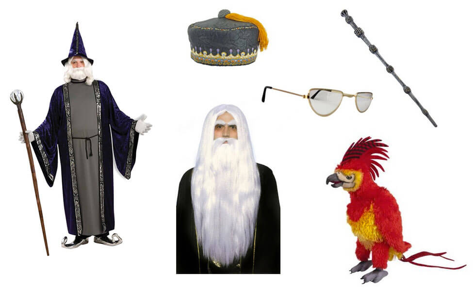 Albus Dumbledore Costume.