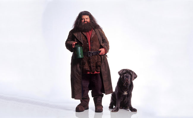 My husband's Hagrid costume is coming along nicely. : r/harrypotter