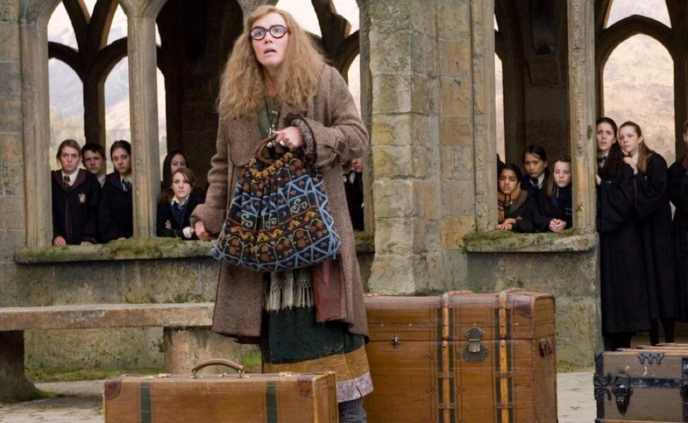 Professor deals trelawney costume