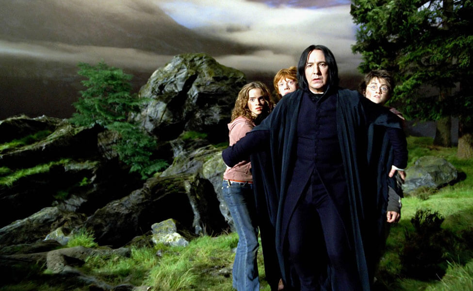 Harry Postter Carbon Costume