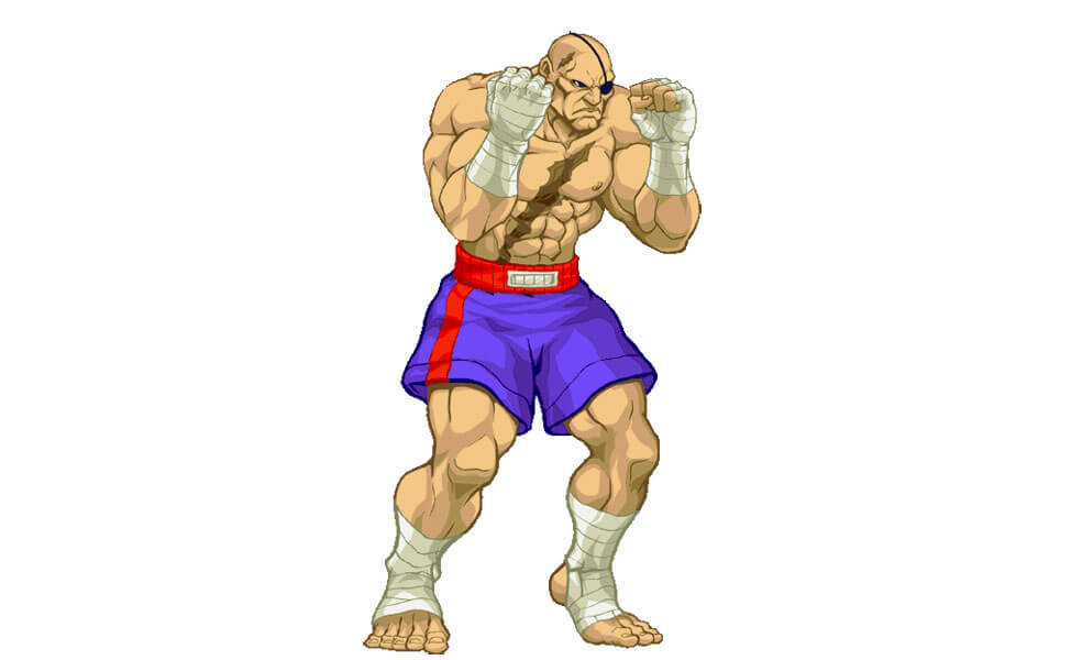 Sagat