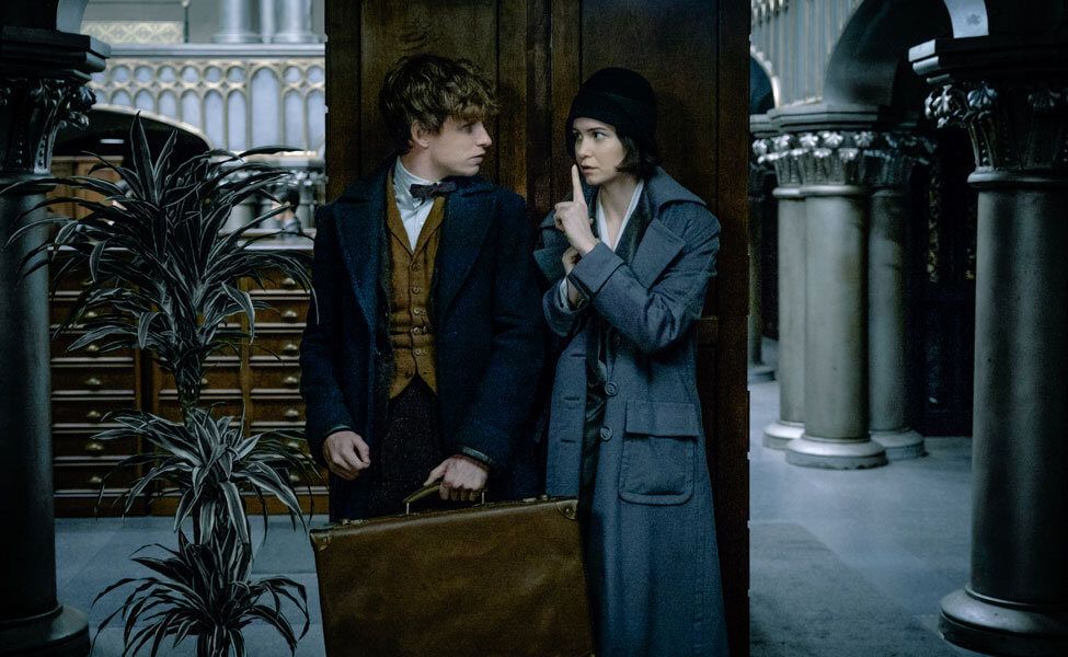 Newt and Tina in Fantastic Beasts and Where to Find Them