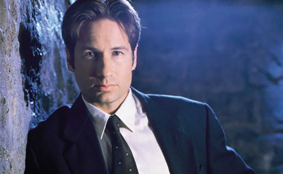 Fox Mulder Costume Carbon Costume DIY Dress Up Guides for