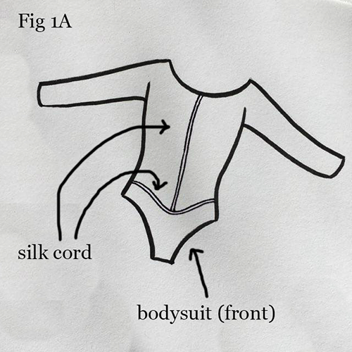 Fig 1a. Bodysuit