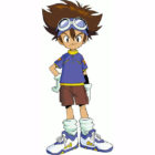 Tai Kayima from Digimon