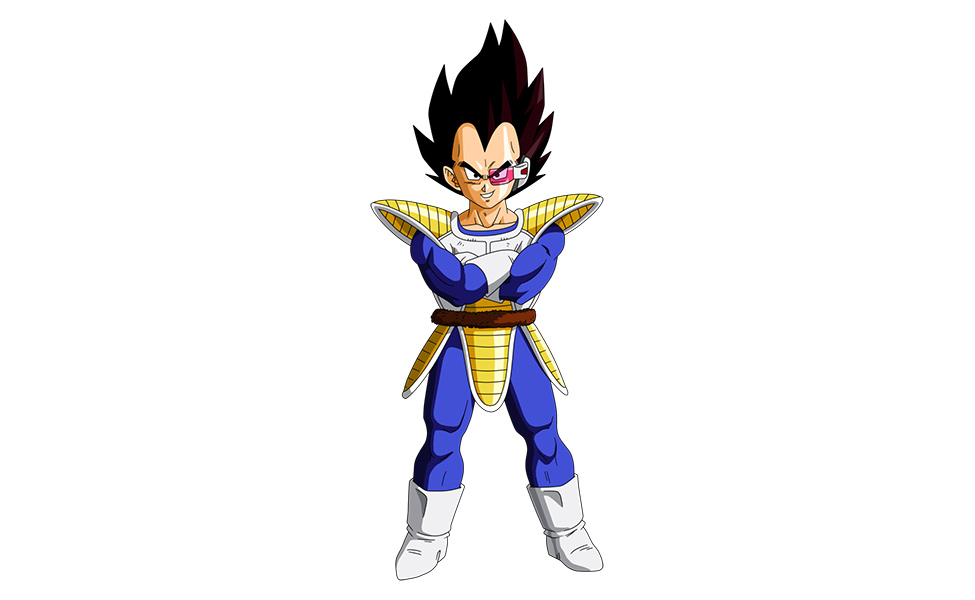 Vegeta From Dragon Ball Z Costume Carbon Costume Diy Dress Up Guides For Cosplay Halloween