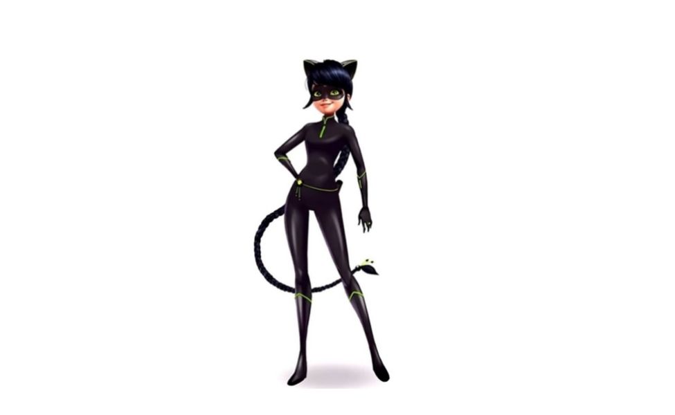 Lady Noir from Miraculous Ladybug