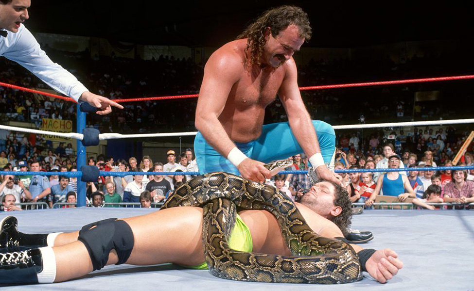 Jake “The Snake” Roberts