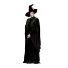 Minerva McGonagall HP CHaracter