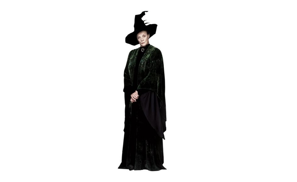 Costuming McGonagall from Harry Potter  Harry potter halloween costumes, Harry  potter costume, Harry potter robes