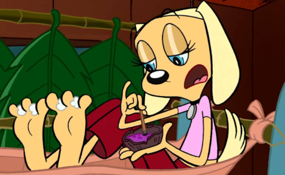 Brandy from Brandy & Mr. Whiskers