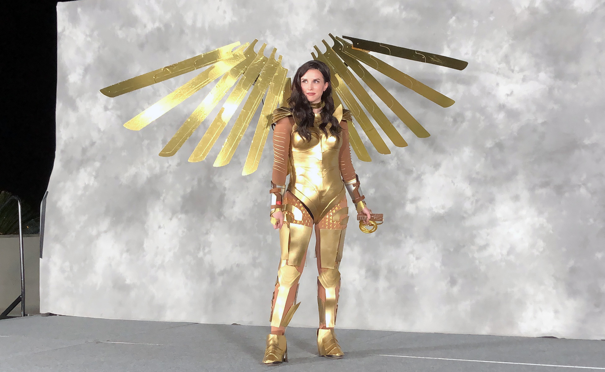 Golden Eagle Wonder-Woman by Liz McFarland