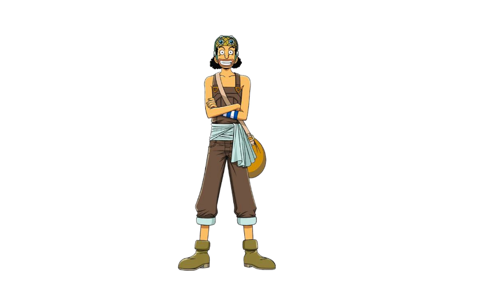 Usopp from One Piece Costume Carbon Costume DIY Dress Up