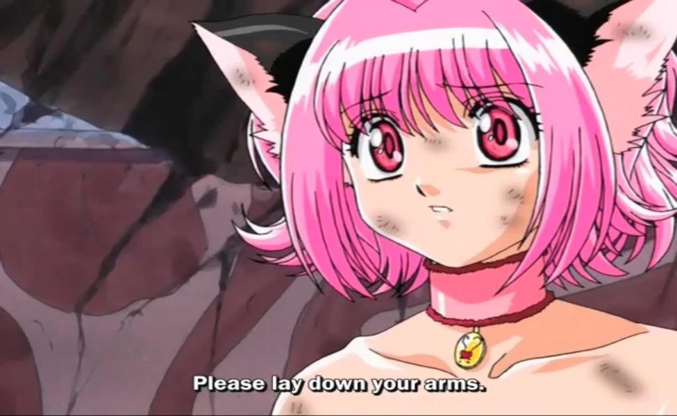 Ichigo is the leader of tokyo mew mew together they fight the