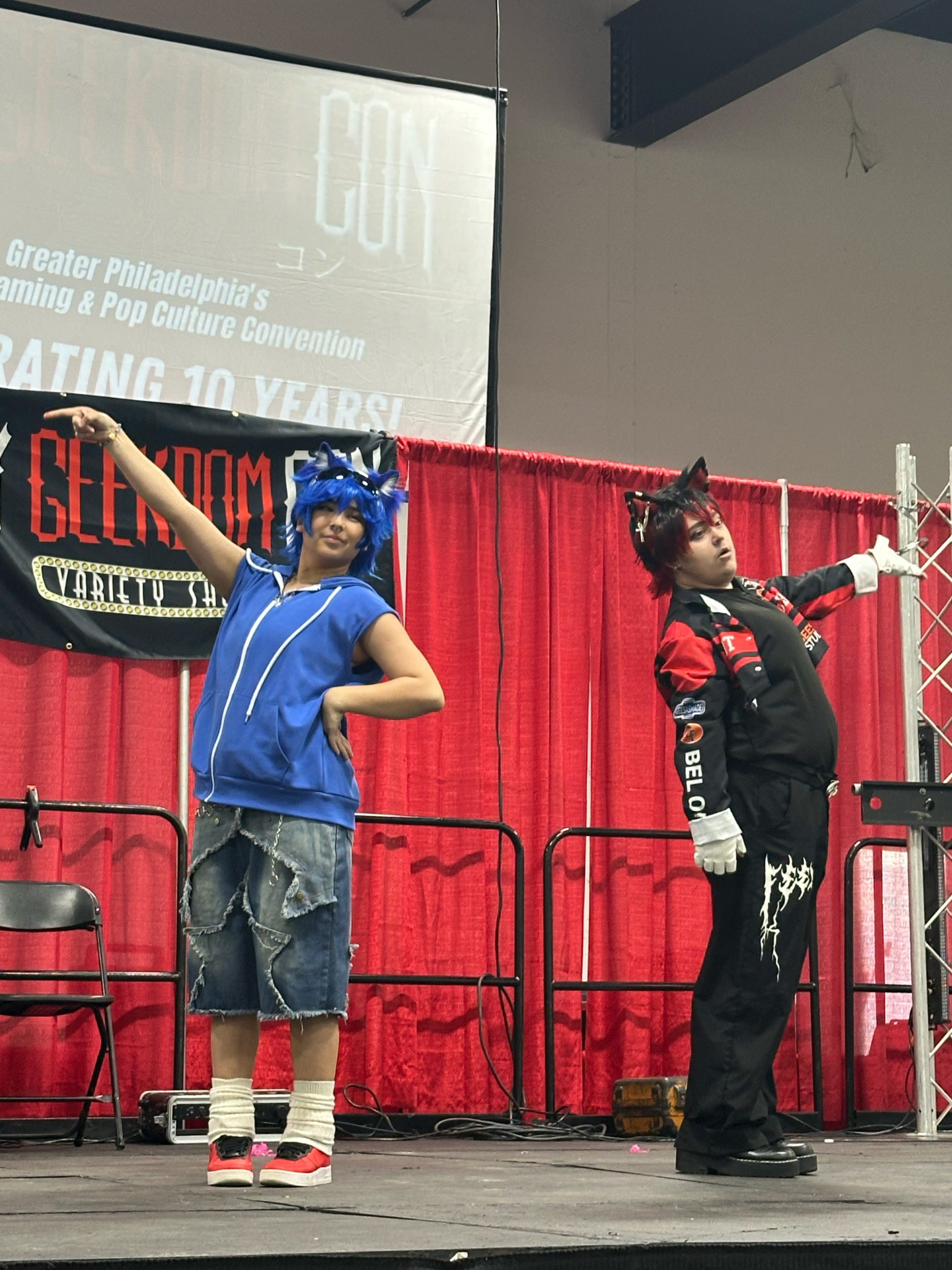 Sonic and Shadow Cosplays