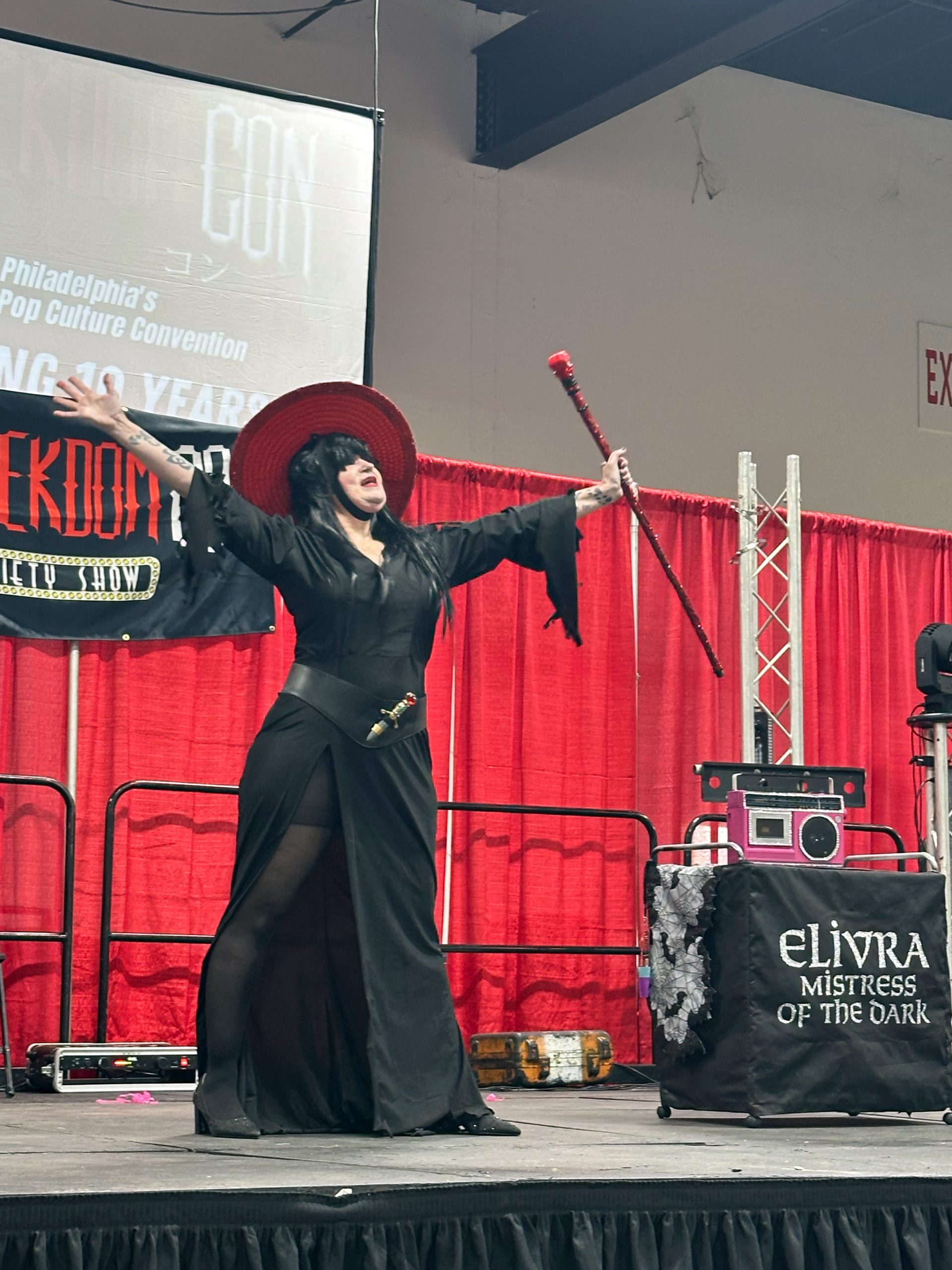 Elvira, Mistress of the Dark Cosplay
